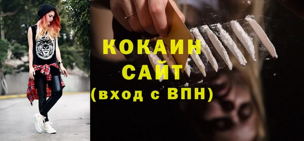 ГАЛЛЮЦИНОГЕННЫЕ ГРИБЫ Заволжье