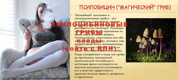 ГАЛЛЮЦИНОГЕННЫЕ ГРИБЫ Заволжье