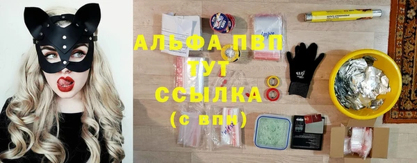 ГАЛЛЮЦИНОГЕННЫЕ ГРИБЫ Заволжье