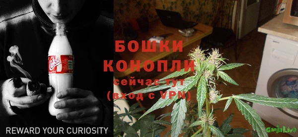 ГАЛЛЮЦИНОГЕННЫЕ ГРИБЫ Заволжье