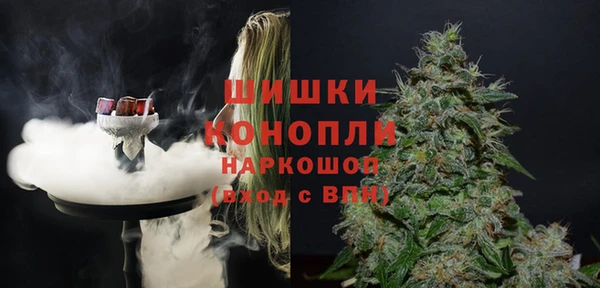 ГАЛЛЮЦИНОГЕННЫЕ ГРИБЫ Заволжье