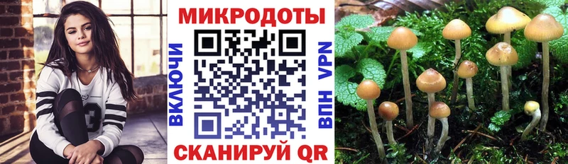 Купить где  Зеленодольск  Псилоцибиновые грибы Psilocybe 